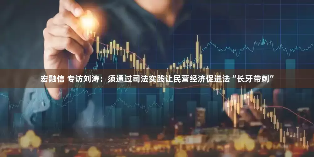 宏融信 专访刘涛：须通过司法实践让民营经济促进法“长牙带刺”