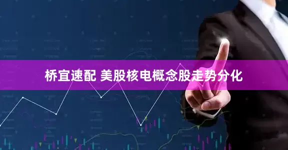桥宜速配 美股核电概念股走势分化